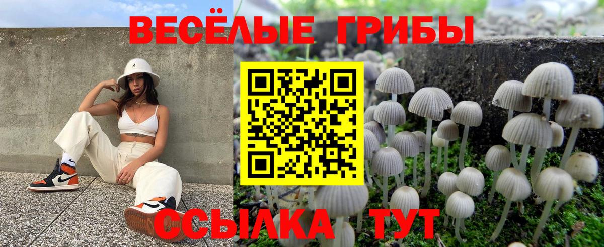 Псилоцибиновые грибы GOLDEN TEACHER Усинск